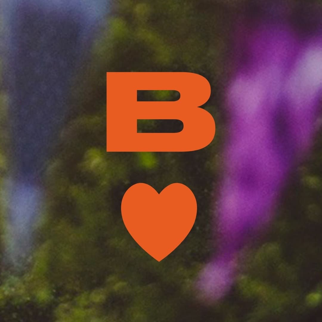 Bukta festival poster